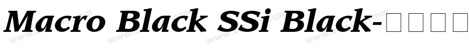 Macro Black SSi Black字体转换